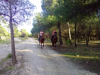 Sendero a caballo.jpg